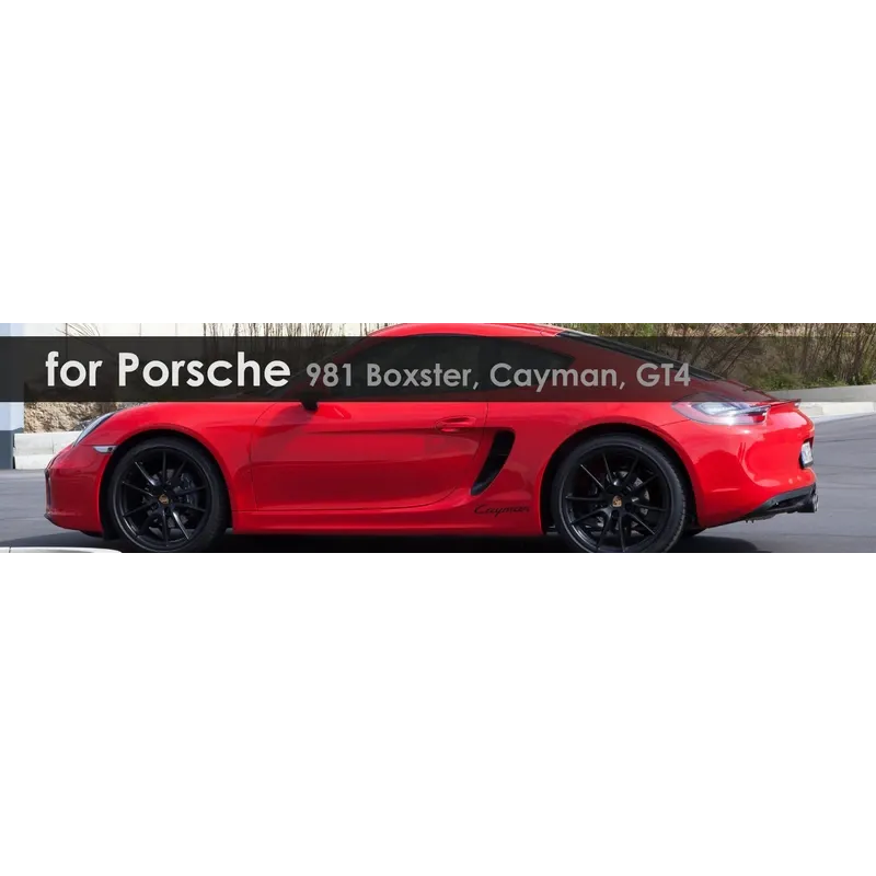 981 Boxster, Cayman, GT4 | Capristo - Rear silencer and CES-3 , with polished tailpipes. The Exhaust System is with ECE Approval. Please note the permitted vehicle models in the ECE-Approval (exclusive Boxster)